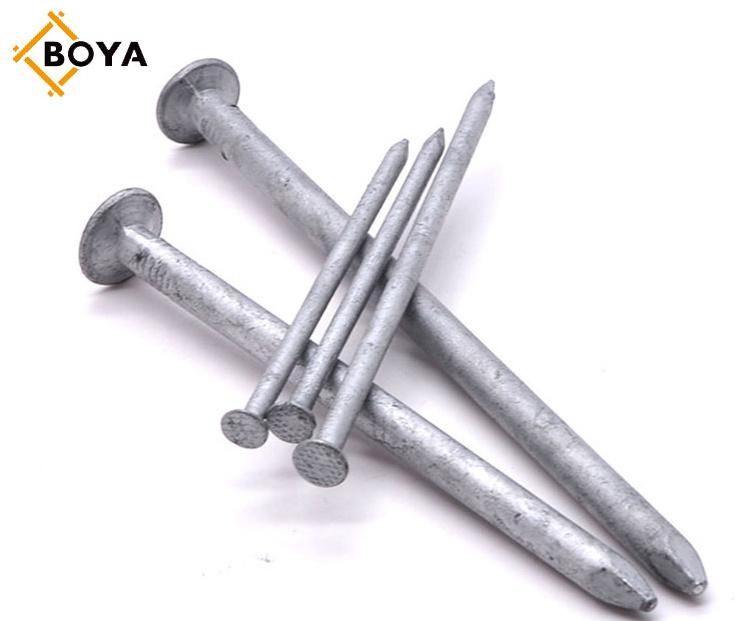 Q195 Polished Nail/Galvanized Iron Roofing Nail/Smooth Shank Common Iron Nail