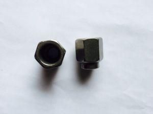 Ss DIN1587 Cap Nuts, Hex Drive Dome Head Cap Nut Stainless Steel Cap Nuts