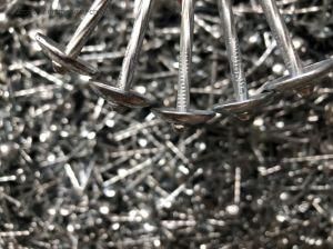 China Supplier Galvanized Twist Roofing Nail with Big Umbrella Head