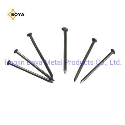 Building Nail/ Iron Nail /Common Iron Nail/Galvanized Nail/Building Materials