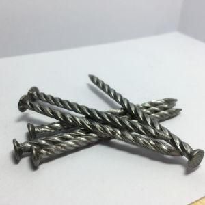 Polished Screw Nail Shank Concrete Nail