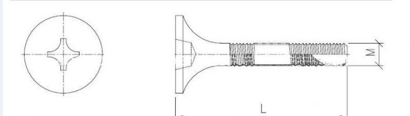 Zinc Plated Carbon Steel Fasteners Bugle Head Cross Drive M6 M8 Tapping Screw for Container Plywood Floor Made in China