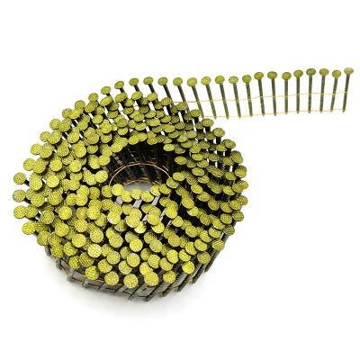 Best Quality Factory Supplied ceiling Air Gun Coil Nail Ss Coil Nail