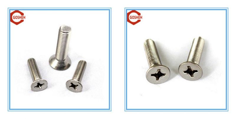 Ss304 Countersunk Head Screw/ Flat Head Phillips Screw
