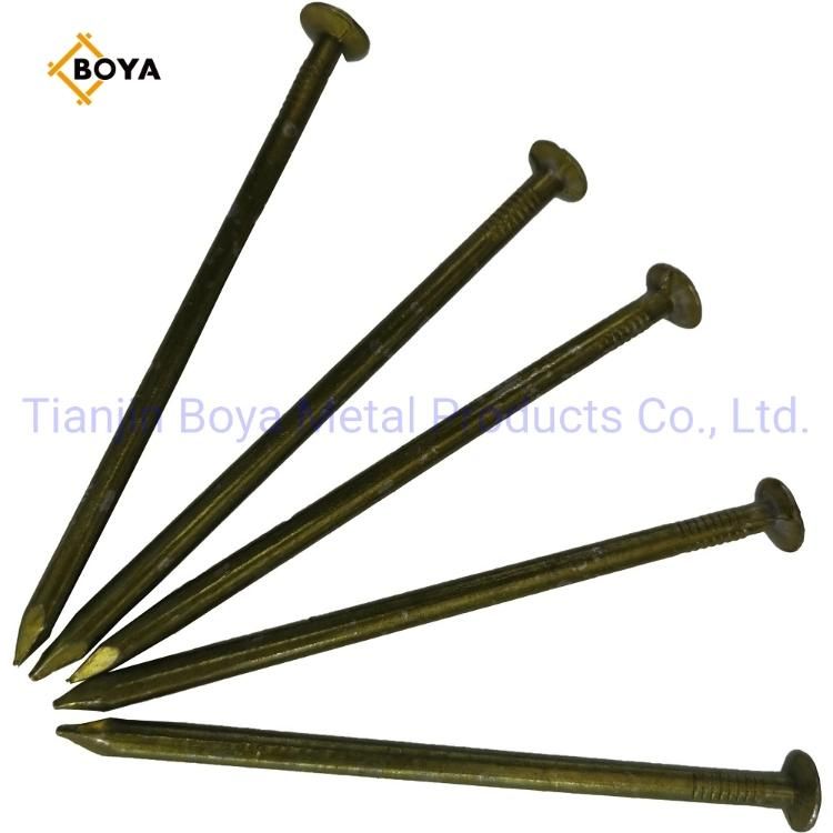China Factory Polished 3/4" - 10" Common Wire Nail