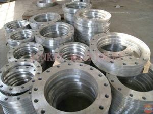 Forged Flanges