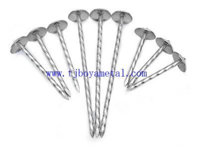 Bolivia Market Calamina Clavos Galvanized Umbrella Head Roofing Nails for Building and Construction
