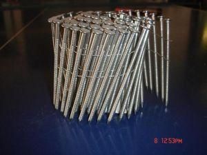 Stainless Steel Coil Nail