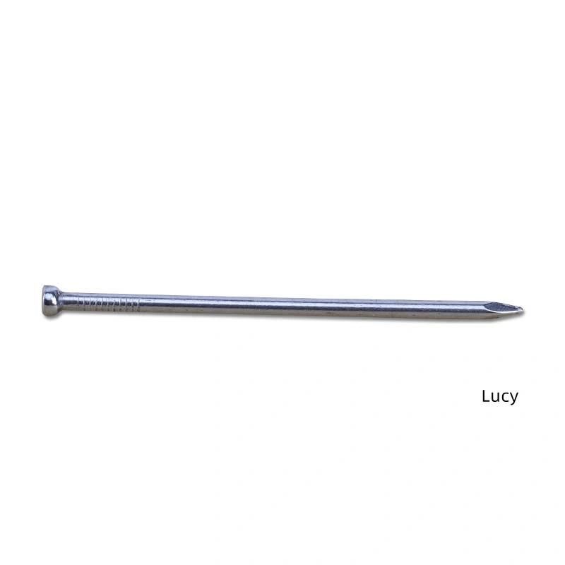 Galvanized Steel Lost Head Nail / Brad Nail / Bullet Head Nail