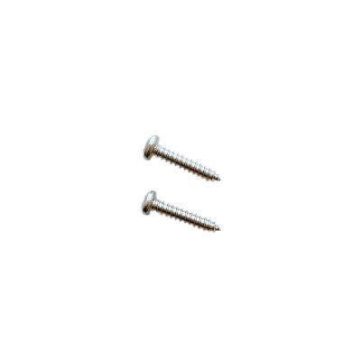 SS304 DIN7981 Pan Head Tapping Screw with Cross Recessed