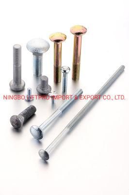 Carriage Bolt 304 316 Stainless Steel Coach Bolt