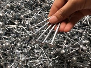 Umbrella Head Smooth and Twist Roofing Nails with Gunny Bag Package