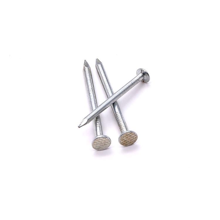 Angola Zambia Namibia Market/High Strength Polished Common Nails with Head for Wood Product
