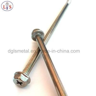 SS304 Hex Bolt and Flange Bolt with High Quality
