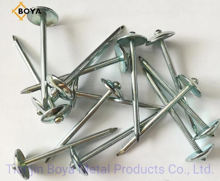 Direct Factory Hot Sale Q235 Galvanized Corrugated Sheet Nails Q195 Twisted & Smooth Shank Umbrella Head Roofing Nails