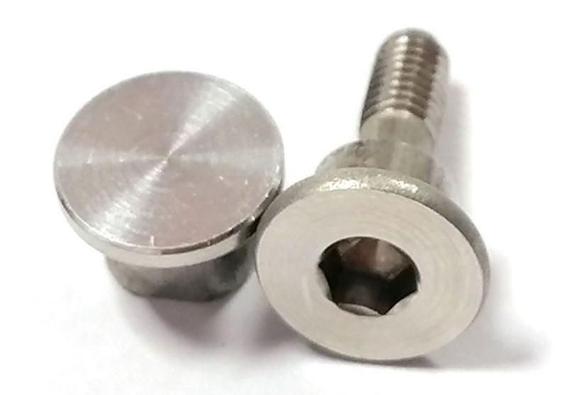 Special Stainless Steel Chicago Male Female Socket Allen Step Screw