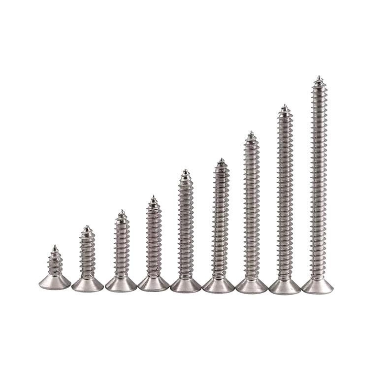 Stainless Steel 304 316 Self Tapping Screw Csk Head