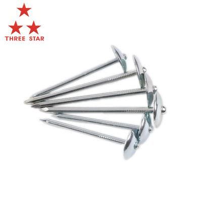 Angola Zambia Namibia Market/Wholesale Best Price Umbrella Head with Roofing Nails 3 Inch Roofing Nails Twisted Shank