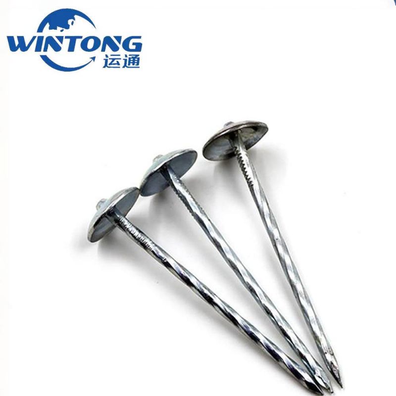Umbrella Head Roofing Nail Roofing Nails Electro Galvanized Roofing Nail