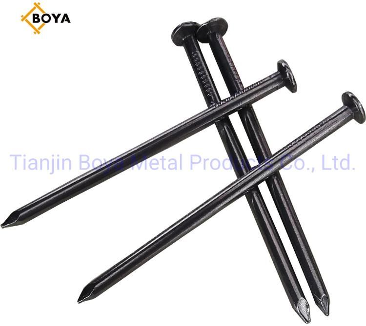 Wire Iron Nail/Hardware Nail/Polished Common Nail/Iron Nail/Building Nail
