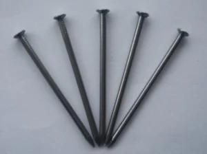 Common Round Nails