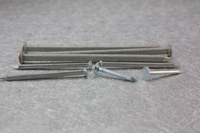 Polished Nail/Galvanized Common Iron Nail/Wooden Nail/Roofing Nail/Concrete Nail for Construction