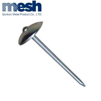 Twist Umbrella Head Galvanized Roofing Nail