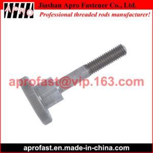 DIN 464 Knurled Thumb Screw with High Profile Stainless Steel