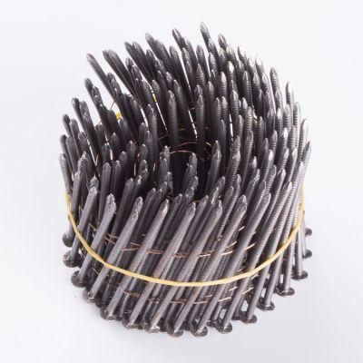 Low Price High Quality Smooth Ring Screw Coil Nails