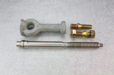 Carbon Steel /Stainless Steel Special Bolts with Nuts