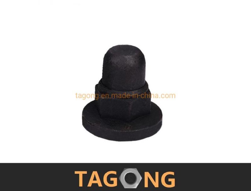 SAE J 483 DIN917 DIN96 DIN1587 Cap Nuts