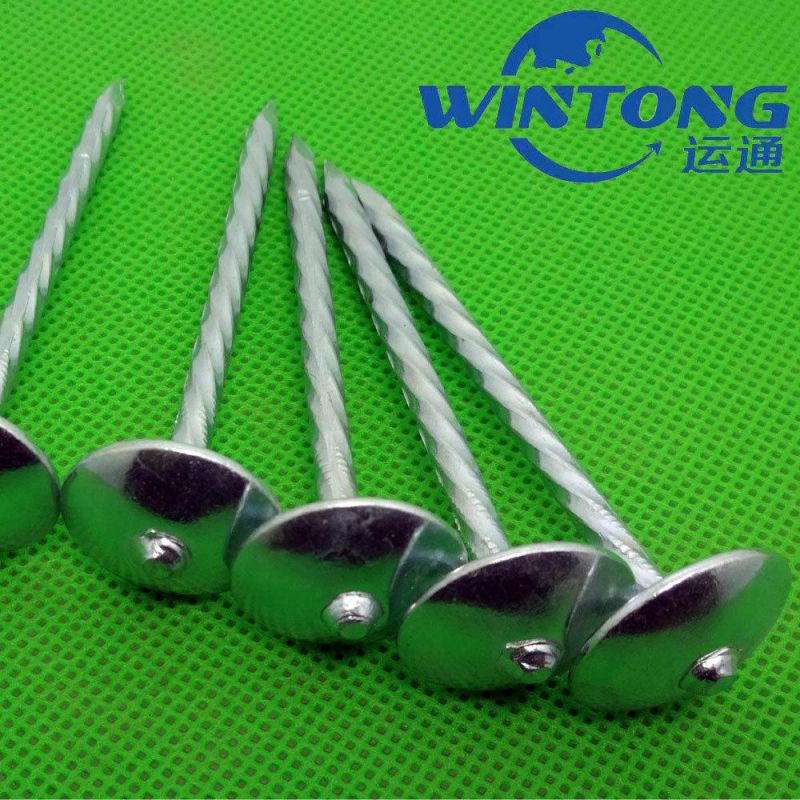 Hemp Pole Roofing Nail, Q195 Roofing Nail, Corrosion Resistant Roofing Nails