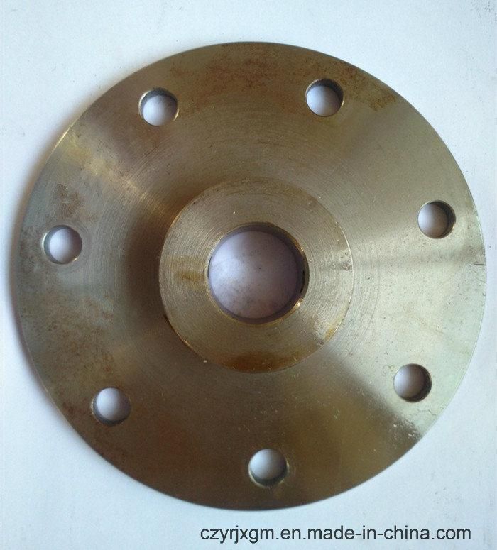 Stainless Steel Carbon Steel Brass Forged Flange