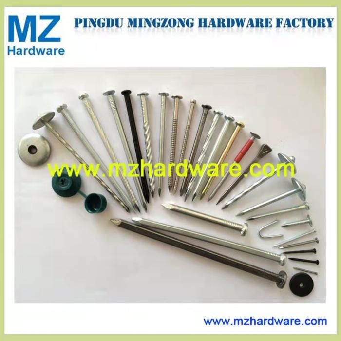 Eletro-Galvanized Nail Screw Shank Nail Roofing Nail with Factory Price