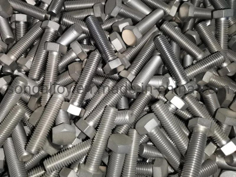 Stainless Steel Hexagon Head Bolt-Full Thread in Stainless Steel Fastener