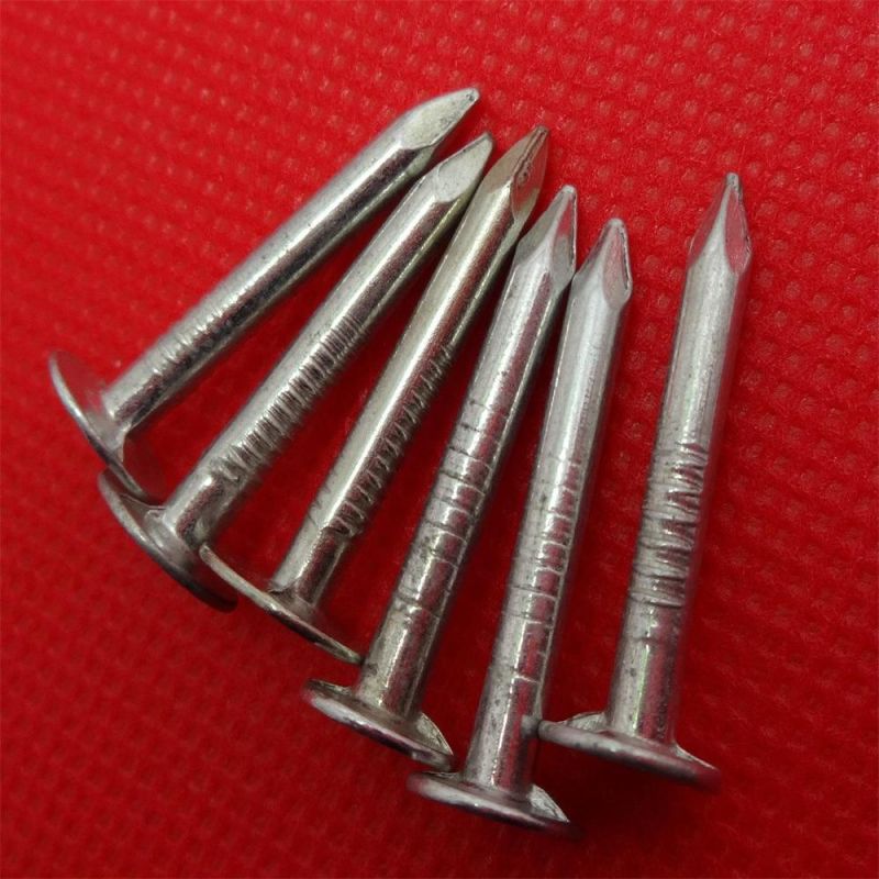 Customizable Polished Linoleum Nail with Large Cap Nails