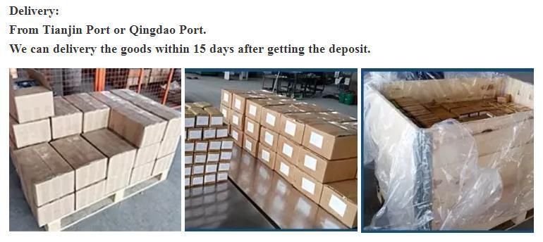 HDG U Bolt with Good Quality