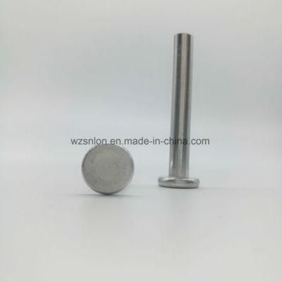 Ppap Level 3 Galvanized Flat Head Solid Rivets