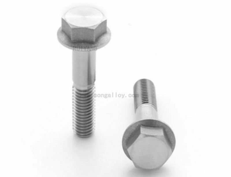 GB5787/5789 A2 Stainless Steel Hex Head Flange Bolts and Nuts Fasteners