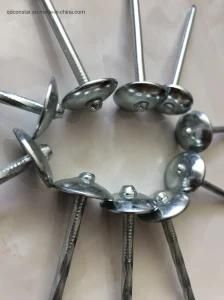 Umbrella Head Smooth Shank Roofing Nail
