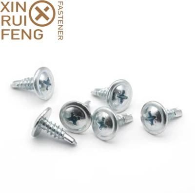 Self Drilling Screw/Nail Galvanized Hardware Factory Directly Supply Fastener