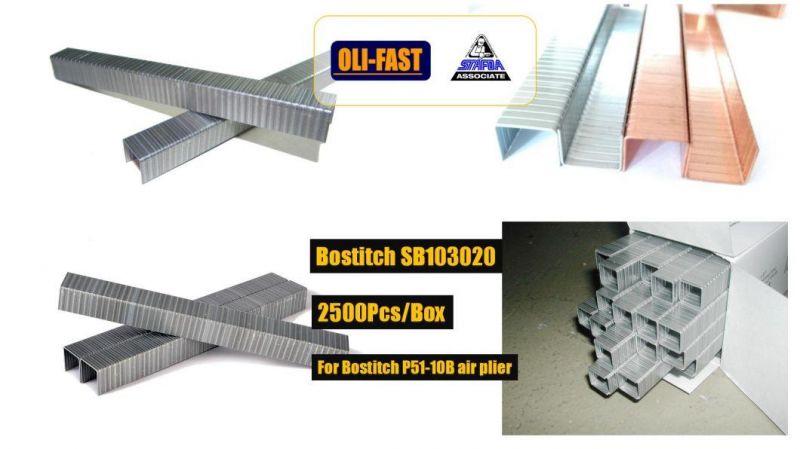 17ga Bostitch Sb103020 Galvanized Staples, Copper Carton Staples