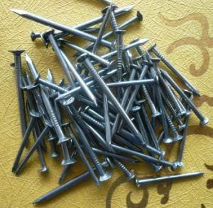 Polished Common Wire Nail, Galvanized Nails