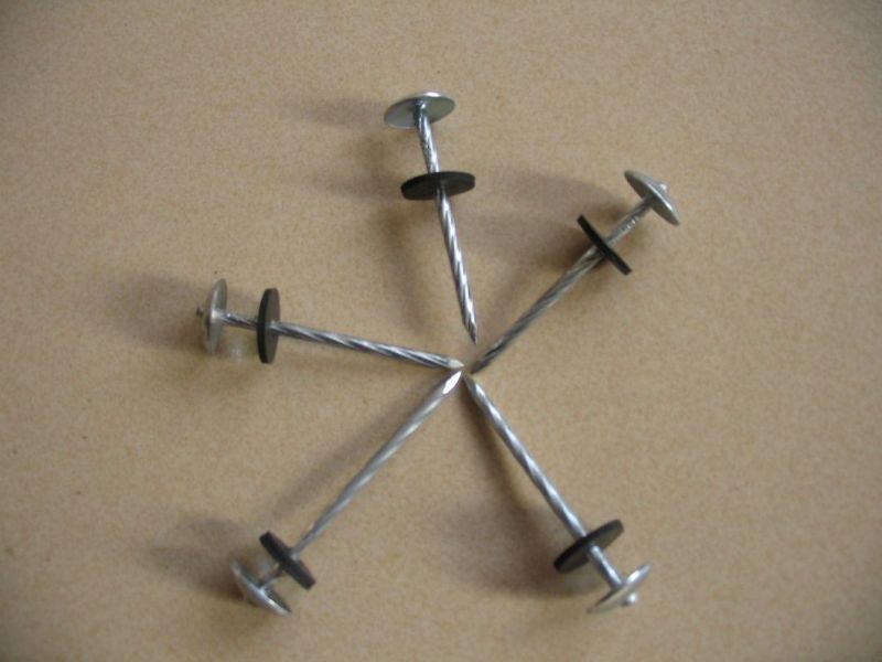 Umbrella Head Roofing Nail Roofing Nails Electro Galvanized Roofing Nail
