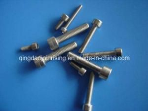 Allen Socket Bolts (SS304)