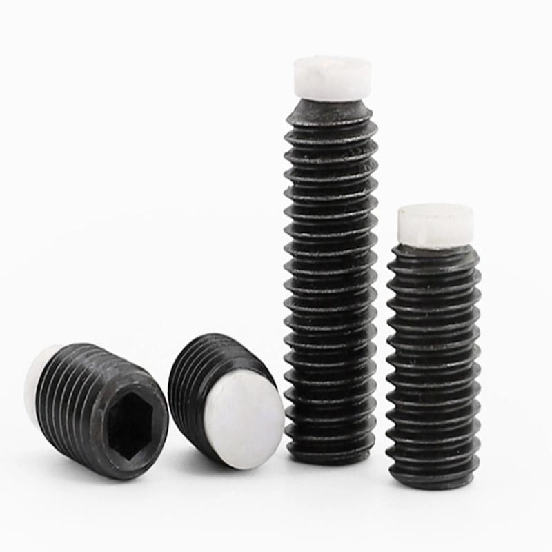 Stainless Steel All Size Flat Silver Plated Set Ss Nylon Tip Grub Screw