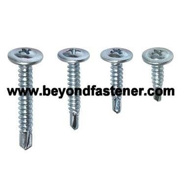 Self Drilling Screw /Roofing Screw /Tapping Screw/Fastener