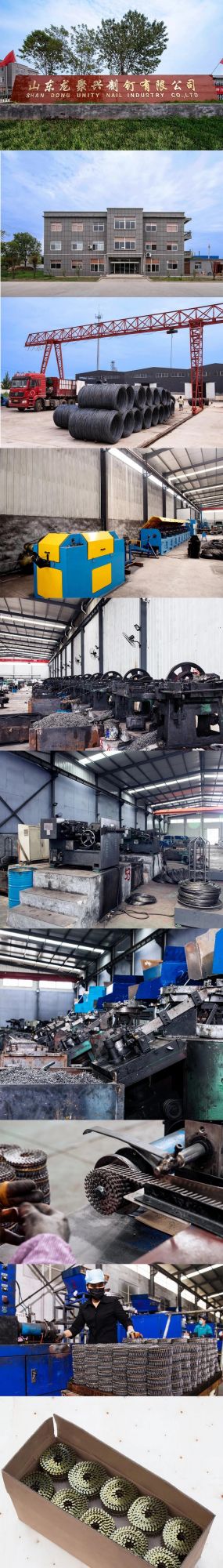 Electro Galvanized Coil Nails Company Sale Nails for Pallet Fence Furniture