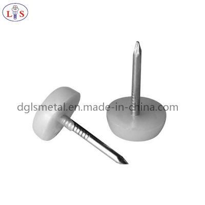 Plastic Head Nail or Bottom Nail with Good Quality