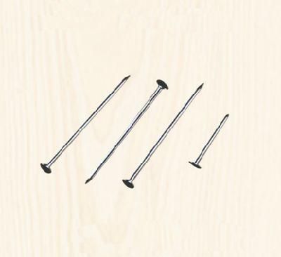 Common Round Iron Wire Nials Contruction Nails